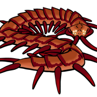 Thumbnail for KT-3189: Vermilion