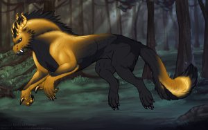 Thumbnail for KT-3313: Iorem