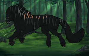 Thumbnail for KT-3395: Now You See Me