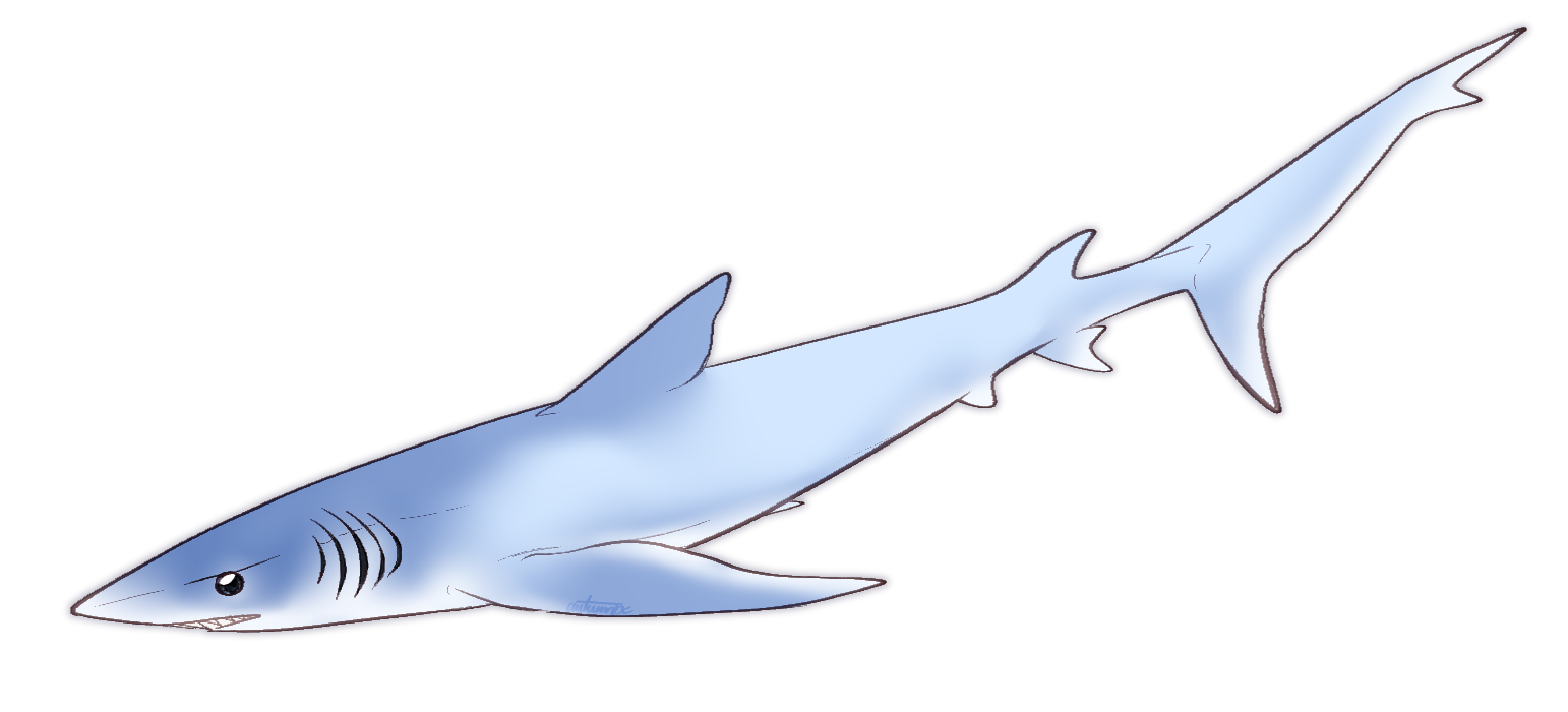 Thumbnail for KT-3339: Maren