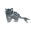 Clouded Westsea Luta Kitten