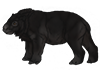 Black Armatherium Calf