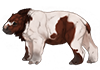 Piebald Armatherium Calf