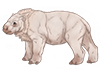 White Armatherium Calf