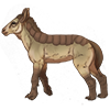 Champagne Plicilope Foal