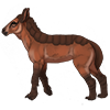 Red Plicilope Foal