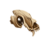 Timeworn Skull