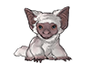 White Burrowbat Pup