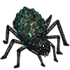 Green Cave Spider Hatchling