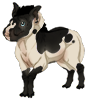 Piebald Greater Anta Calf