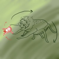 Submission thumbnail